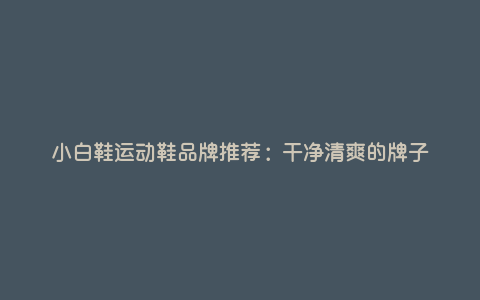 小白鞋运动鞋品牌推荐:干净清爽的牌子 小白鞋运动鞋品牌推荐:干净清爽的牌子