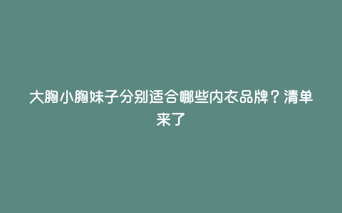 大胸小胸妹子分别适合哪些内衣品牌?清单来了 大胸小胸妹子分别适合哪些内衣品牌?清单来了