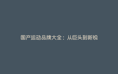 国产运动品牌大全:从巨头到新锐 国产运动品牌大全:从巨头到新锐