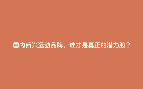 国内新兴运动品牌,谁才是真正的潜力股? 国内新兴运动品牌,谁才是真正的潜力股?