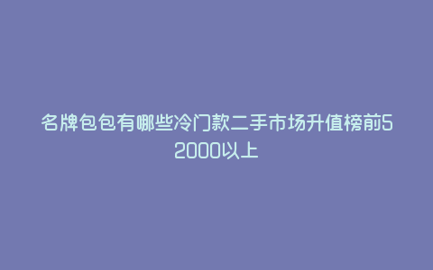 名牌包包有哪些冷门款二手市场升值榜前52000以上 名牌包包有哪些冷门款二手市场升值榜前52000以上