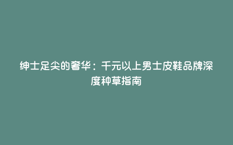 绅士足尖的奢华:千元以上男士皮鞋品牌深度种草指南 绅士足尖的奢华:千元以上男士皮鞋品牌深度种草指南